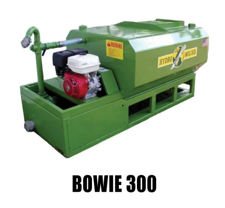 Bowie 300