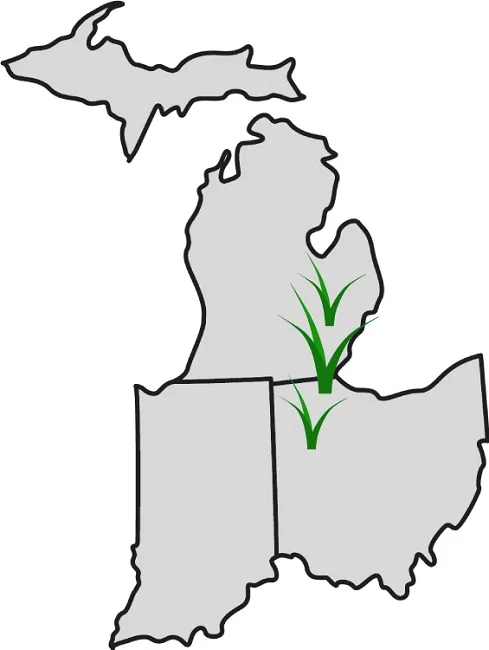 Evergreen Bowie Sales serves Michigan, Indiana and Ohio